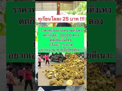 ทุเรียนราคาดิ่ง โลละ 25 บาท #ทุเรียนล้นตลาด #ทุเรียนเวียดนาม #fruit #agriculture #automobile #food