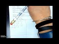 Biology and Earth Science Concepts
