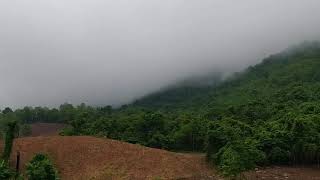 คืนนี้ฝนตก - ไม้เมือง