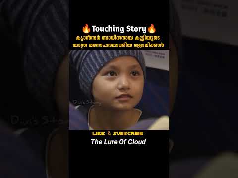 ക്യാബിൻ ക്രൂ നൽകിയ ട്രീറ്റ്‌ | The Lure Of Cloud | malayalam movie explanation