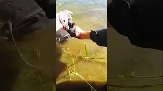 A CRAZY Big Fish Shot You've NEVER Seen Before!