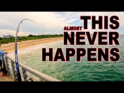 This Almost NEVER Happens while Fishing at the Jetty!