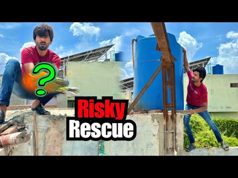 Boht Zakhmi Pet Rescue Kar Liya 😱