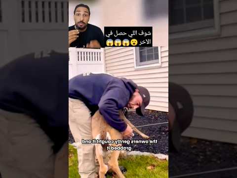 انقاذ غزاله مسكينه بتطلب المساعده من البشر