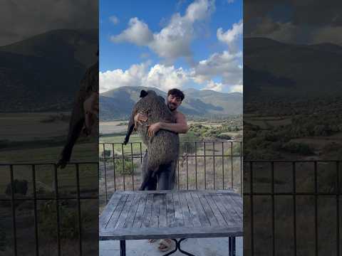 how to eat a wild boar ? 🐗