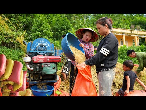 "The Painstaking Process of Producing Delicious Rice Grains in the Countryside | Trieu Mai Huong".
