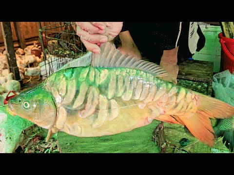 Never Seen || Big Mirror Carp Fish Cleaning & Cutting By Expert Fish Cutter