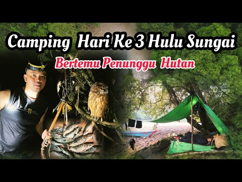 Camping Berburu Ikan Malam Hari Saat Hujan Deras - Bertemu Burung Hantu Penghuni Hutan