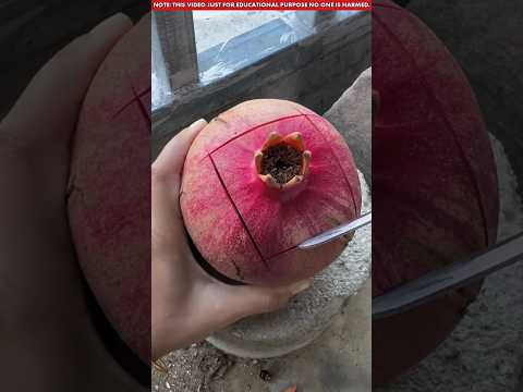 Survival Skills: SIMPLE and USEFUL#bushcraft #camping #outdoors