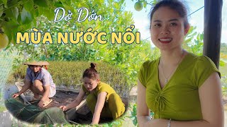 Dở Dớn Mùa Nước Nổi Hương Vào Bếp Làm Liền Món Canh Chua Bông Súng Và Cá Chiên