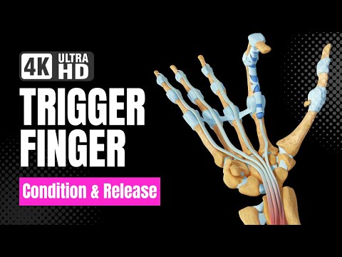 Trigger Finger  - 4K 3D Animation