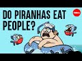 Understanding Piranhas