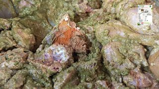 #FOODVLOG| chicken biriyani rceipe | village food channel