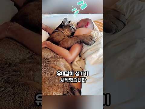 아기 퓨마를 입양한 가족