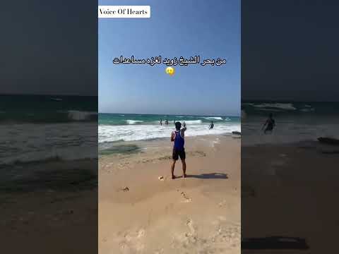 💔 Grain Bottles Sent to Gaza by Sea – Egypt's Silent Help! #sea #bottles #egypt #virals#help #gaza