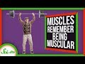 Understanding Muscle Memory and Strength