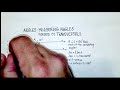 Understanding Angles and Their Relationships