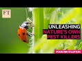 Biological Pest Control Concepts