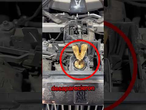 Por esto desaparecieron los emblemas de los autos #shorts #opentracks