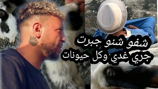 "جبرت قنيا فدريق 🤔 خلصت جري باش 🤩 يوكل حيونات في صيف "