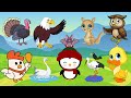 Sequence of Events in Video