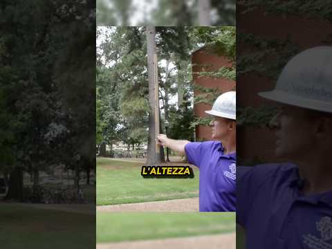 Misurare un albero con un bastone 📐🌲🤔