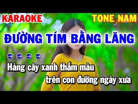 Karaoke Đường Tím Bằng Lăng Tone Nam | Nhạc Sống Beat Chuẩn | Karaoke Thanh Hải