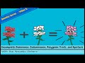 Genetics: Non-Mendelian Inheritance Concepts