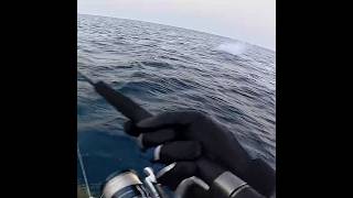 GT attack on popper