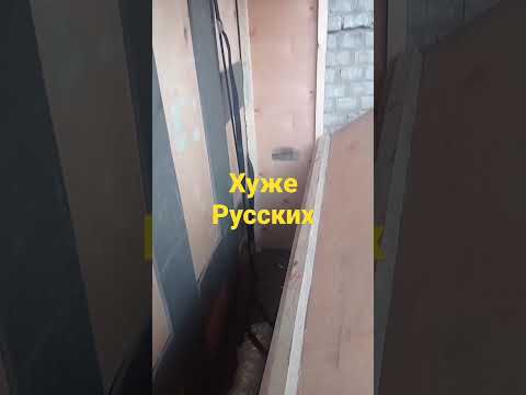 Нова почта снимает последние штаны