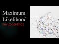 Maximum Likelihood in Phylogenetics