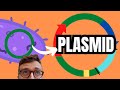 Plasmids and Genetic Engineering Concepts