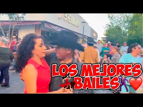 Estos si son bailes! 💃❤️🤠#virales #chihuahua