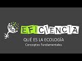 Conceptos Clave de Ecología