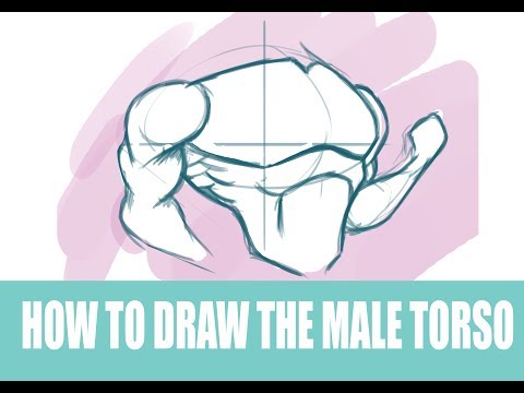 Figuring out how to draw a torso - male - tutorial