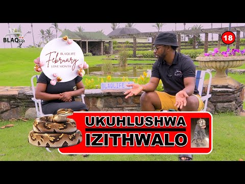 Bengishade nomuntu ongasekho emhlabeni (ISPOKI) | UKUHLUSHWA IZITHWALO