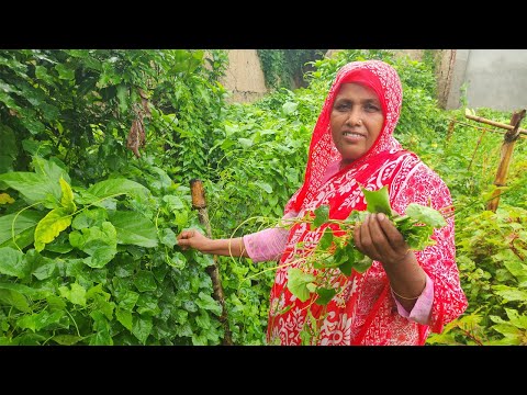 Rainy Day Best Village Food Snacks Recipe বৃষ্টির দিনে সেরা নাস্তা Telakucha Shaker Bora Tasty Nasta