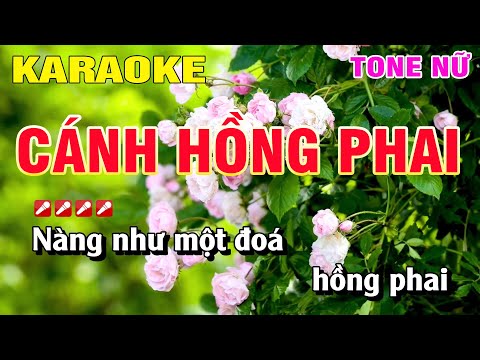 Karaoke Cánh Hồng Phai Tone Nữ Nhạc Sống | Nguyễn Linh