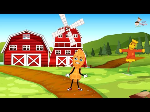 I Am a Nut | Funny Animated Nursery Rhyme for Kids
