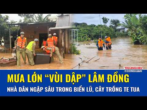 Mưa lớn “vùi dập” Lâm Đồng, nhiều nhà dân ngập sâu trong biển nước lũ, cây trồng bị tàn phá nặng
