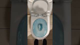 Toilet Flushing #toilet #flushing #shorts