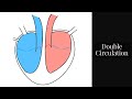 Circulatory System Concepts