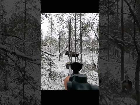 Hunting a big moose at very close #hunting #chasse #moose #deer