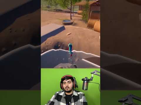 Stupid Fish | Hassu Gaming