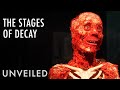 Human Decomposition and Related Concepts