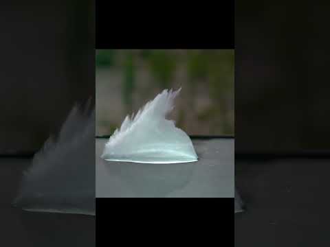 can a bullet bounce on water?! can it even brake glass at 165 mph?! #cool #safety #