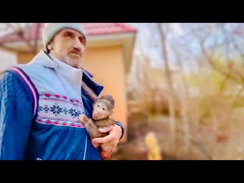 С теплом и светом ВСЕ НАЛАДИЛОСЬ и мы несем малышей домой