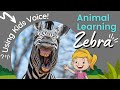 Zebra Facts and Conservation Status