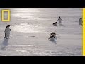 Qaybaha Muuqaalka iyo Muusikada