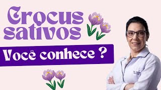Crocus Sativus: O Açafrão do Oriente e Seus Benefícios Incríveis para a Saúde 🌸✨